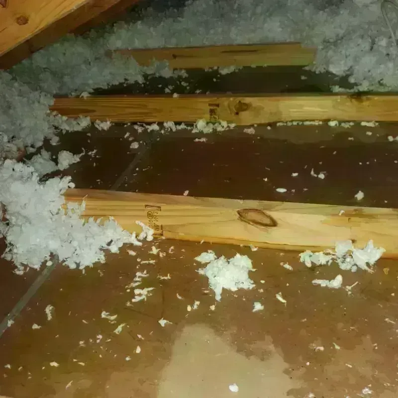 Attic Water Damage in Tulia, TX